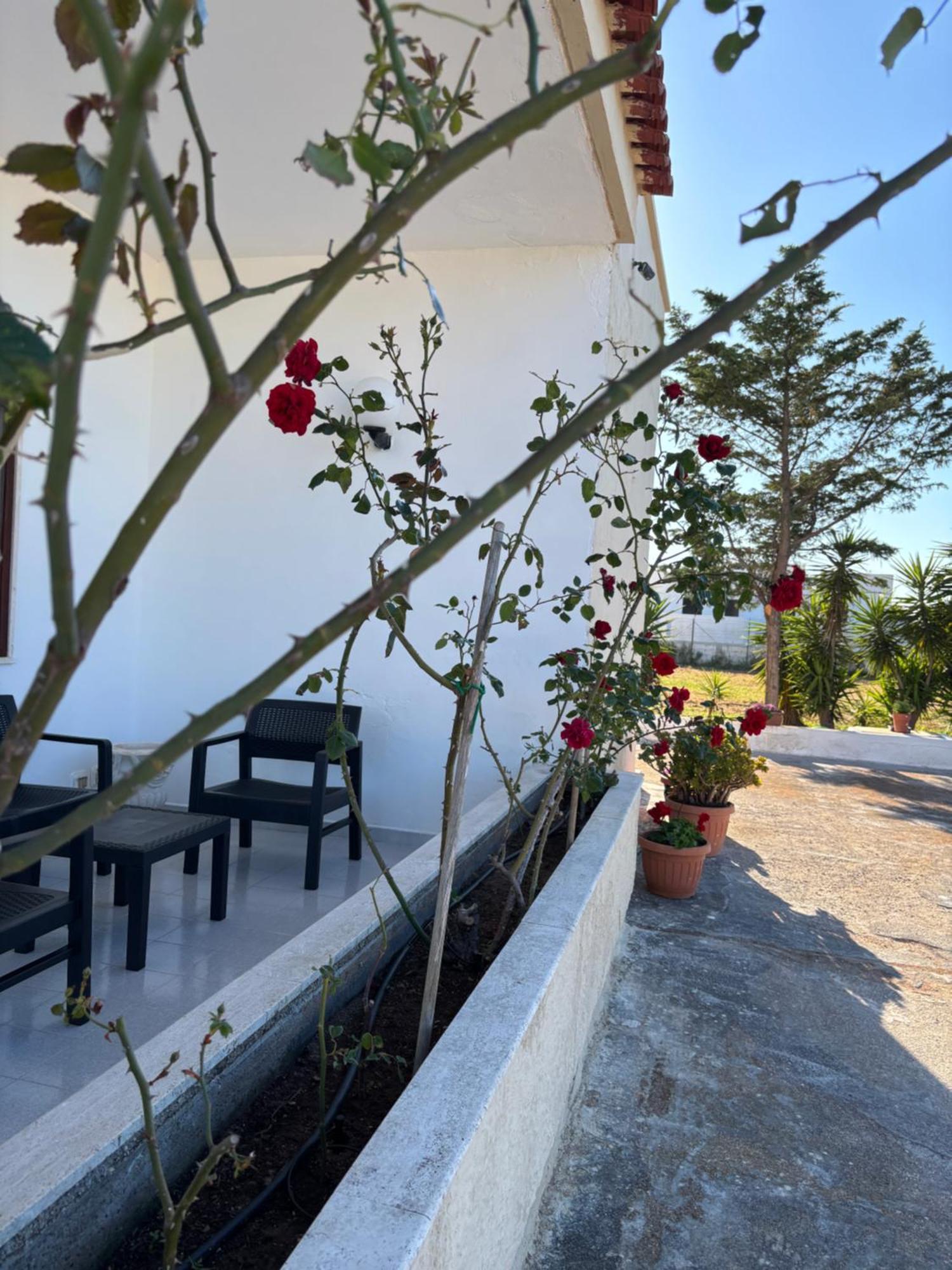 Lilly'S House Villa Torre Santa Sabina Ngoại thất bức ảnh